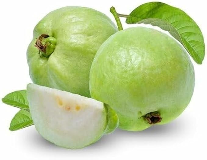 5 KG Imported Guava Fruits