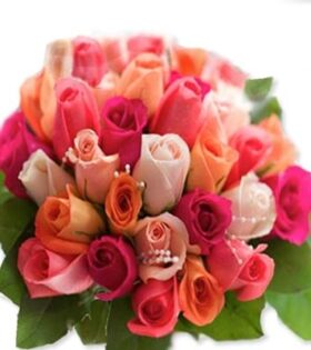Colorful Roses