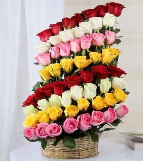 Colorful Feelings
