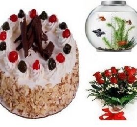 Combo Gift 19