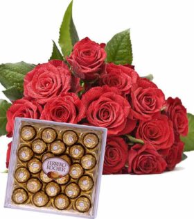 Combo Gift 26