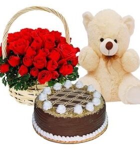 Combo gift31