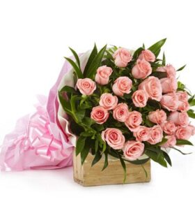 Lovely Pink