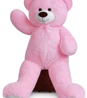 Teddy bear online store Hyderabad