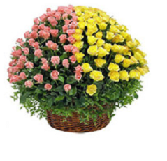 Pink & Yellow Roses Basket.