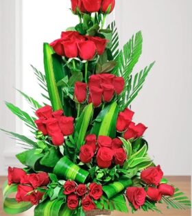 50 Red Roses Basket