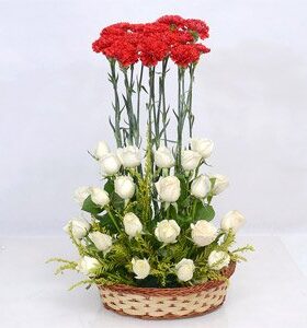 Roses and Carnations Combo