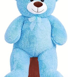 Hyderabad teddy bear shop online