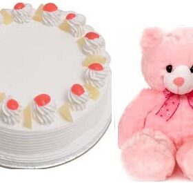 Pink Teddy with N cake