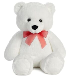 white teddy bear for birthday