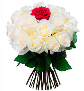 24 White n 1 Red Roses Bunch