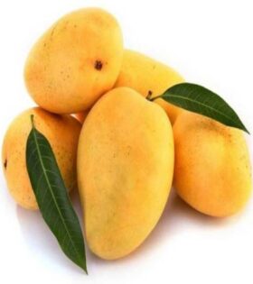 Send Mangoes Online Hyderabad India