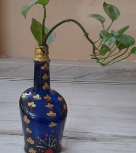 Money Plant in Bottle Vase