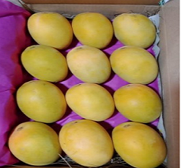 Alphonso Mango online Hyderabad