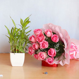 Blush & Luck