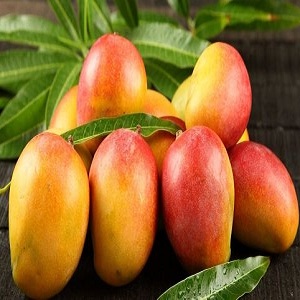 Mangoes in Hyderabad Online delivery