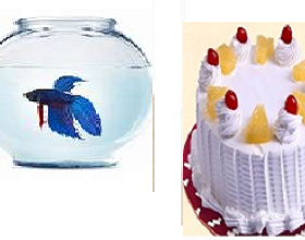 Fish bowl with Cake