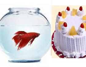 Fish bowl with Cake